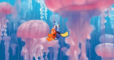 Finding Dory Movie, Nemo And Dory, Finding Nemo 2003, Edm Girls, Animal Education, Film Disney, Secret Life Of Pets, Finding Dory, Disney Addict