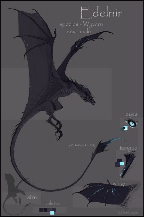 Wyvern Fantasy Art, Wyvern Oc, Wyrm Dragon, Wyvern Dragon, Dragon Man, Dragon Riders, Mythical Monsters, Dragon Artwork Fantasy, Dragon Sketch