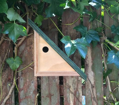 Contemporary Bird House, Plywood Birdhouse, Small Ladder, Modern Birdhouses, Water Based Wood Stain, Handmade Birdhouses, Green Woodworking, Bird House Plans, Decorative Bird Houses