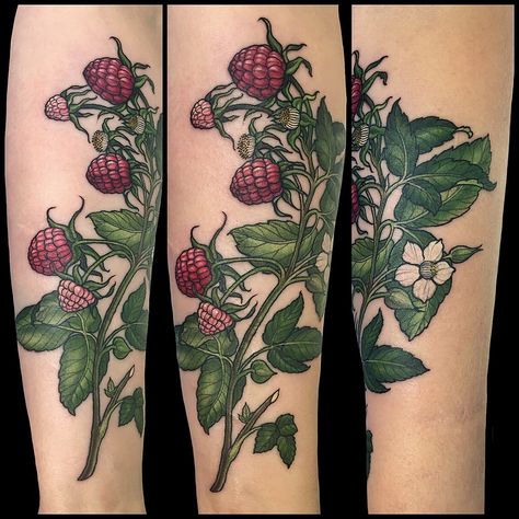 Raspberry Branch Tattoo, Raspberry Branch, Raspberry Tattoo, Botanical Tattoos, Branch Tattoo, Adelaide Australia, Flower Tattoo, Raspberry, Illustrator