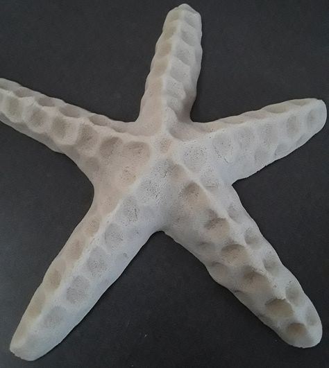 Clay Seashells Diy, Starfish Ceramics, Salt Dough Sculptures, Salt Dough Ideas, Salt Dough Starfish, Dough Shapes, Clay Starfish, Starfish Sculpture, Beach Art Diy