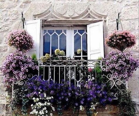 Balcony Plant Decor, Deck Rail Planters, Rail Planters, Garden Ideas In Front Of House, Balcony Flower Box, Juliette Balcony, Apartment Balcony Garden, Juliet Balcony, Balcony Flowers