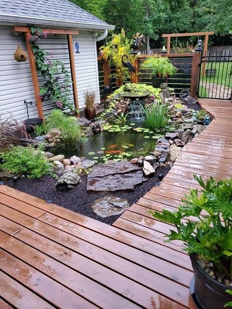 Garden Ideas Zen Retreat, Diy Ponds Backyard, Monarch Butterfly Garden, Garden Bed Layout, Fish Pond Gardens, Backyard Pond, Garden Pond Design, Pond Ideas, Backyard Water Feature