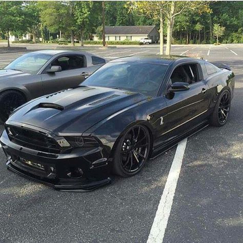 GT500 2014 Gt500, 2014 Shelby Gt500, 2014 Mustang, Billionaire Lifestyle Luxury Living, Shelby Mustang, Ford Mustang Car, Love This Pic, Shelby Gt, Car Goals