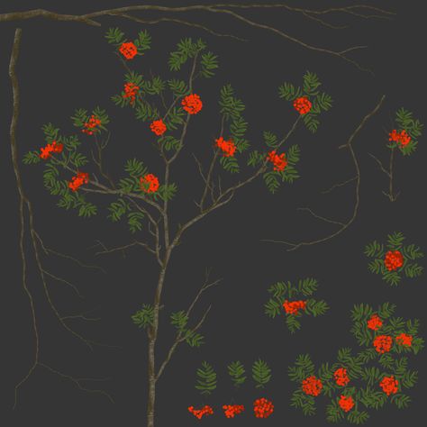 ArtStation - Rowan Tree Rowan Tree Art, Learning New Things, Rowan Tree, The Atlas, Tree Drawing, Unreal Engine, New Things, New Things To Learn, Tree Art