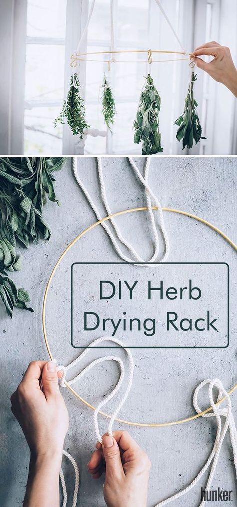 Drying Herbs In Kitchen, Drying Herbs Hanging Rack Diy, Hanging Herbs To Dry, Dry Herbs Diy, Diy Flower Drying Rack, Drying Herbs Hanging, Living Herb Wall, Herbalist Kitchen, Preserve Herbs