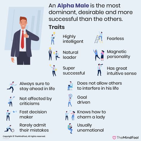 Alpha Male Characteristics, How To Be Mysterious, Alpha Male Quotes, Alpha Male Traits, Writing Traits, Masculine Traits, Dan Humphrey, Nate Archibald, Motivation Psychology