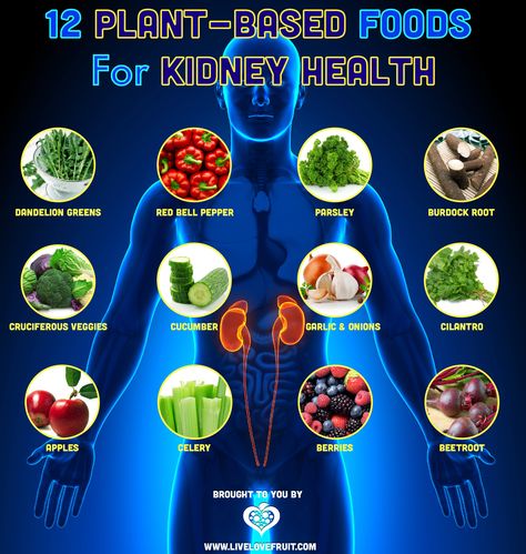 12 Foods For Kidney Health | Live Love Fruit Kidney Problems Signs, Kidney Healthy Foods, Food For Kidney Health, Easy Juice Recipes, Improve Kidney Function, Kidney Detox, Kidney Recipes, Kidney Friendly Foods, Healthy Kidneys