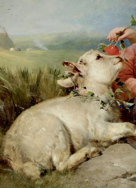 Lamb Art Aesthetic, Sacrifical Lamb Aesthetic, Sheep Widget, Lamb Reference, Oc Species, Sheep Aesthetic, Lamb Aesthetic, Scottish Sheep, Delacroix Paintings