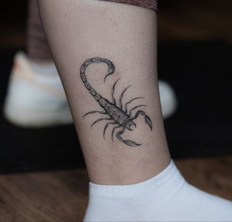 Scorpion fine line tattoo Two Scorpions Tattoo, Scorpion Tattoo Leg, Tattoo Lower Leg, Scorpions Tattoo, Tattoo Leg, Scorpion Tattoo, Lower Leg, Scorpion, Tattoos