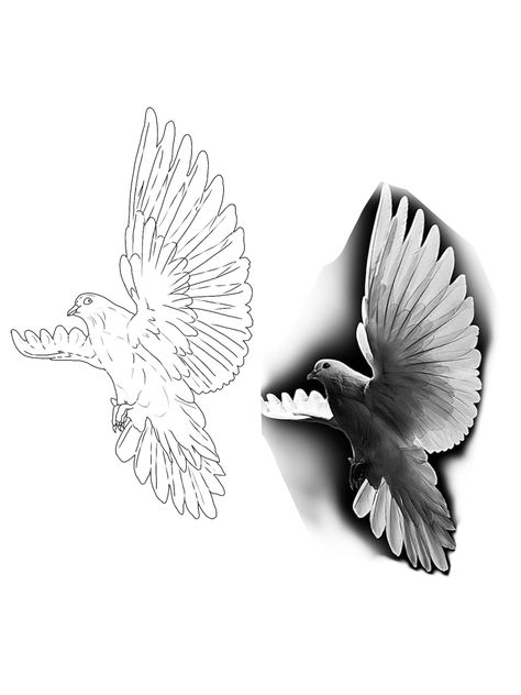 Dove Tattoo Outline, Realistic Dove Tattoo, Dove Tattoo Stencil, Realism Stencil, Pigeon Tattoo Design, Dove Neck Tattoo, Flying Dove Tattoo, Dove And Rose Tattoo, Dove Stencil