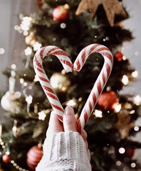 Wallpaper Natal, Christmas Dreaming, Christmas Wallpaper Backgrounds, Christmas Aesthetic Wallpaper, Have Inspiration, Foto Tips, Christmas Feeling, Christmas Inspo, Christmas Photography