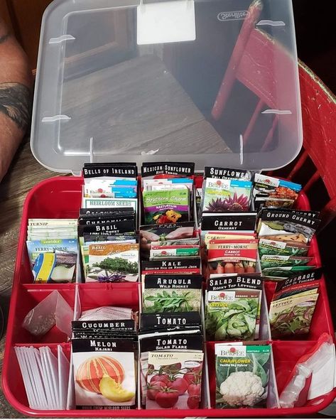 Seed Package Storage, Seed Packet Organization, Seed Saving Storage Ideas, Seed Packet Storage Ideas, Garden Seed Organizer, Seed Packet Storage, Seed Organization Ideas, Seed Storage Ideas, Organize Seeds