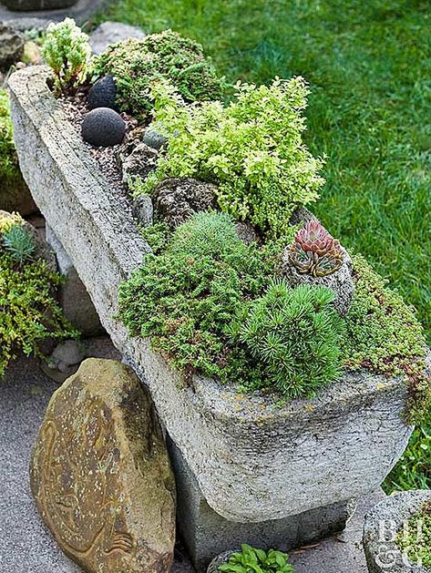 Hypertufa Trough, Garden Troughs, Stone Planter, Creative Garden Decor, Diy Concrete Planters, Concrete Garden, Garden Containers, Unique Gardens, Flowers Wallpaper