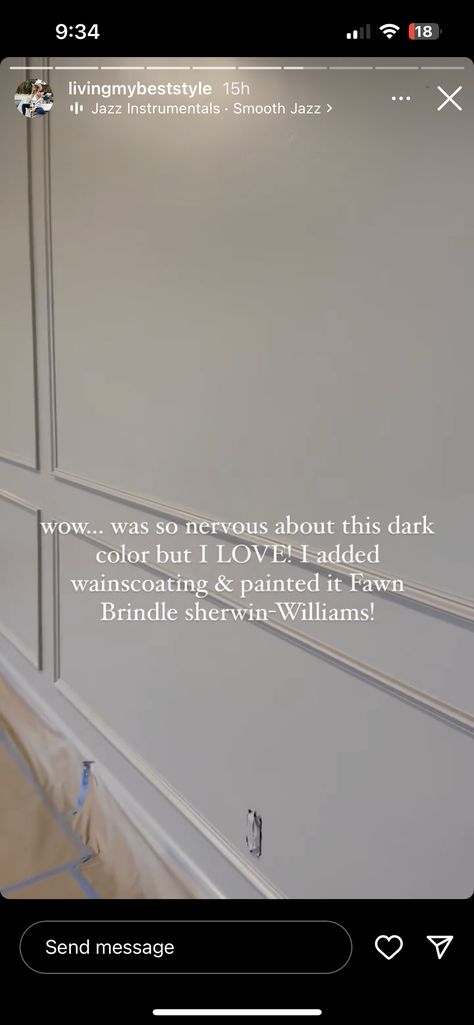 Brindle Fawn Sherwin Williams, Fawn Brindle Sherwin Williams, Sherwin Williams Fawn Brindle, Closet Paint, Fawn Brindle, Painted Closet, Nursery Boy, House Color Palettes, Room Refresh