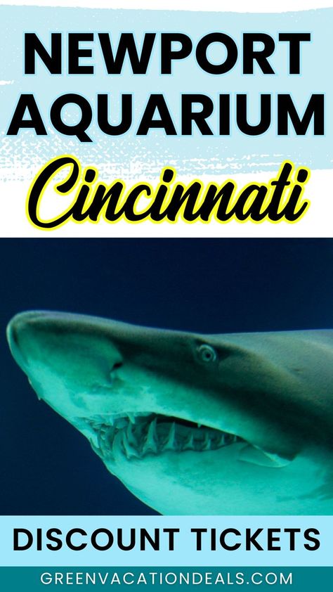 Newport Aquarium in Cincinnati Ohio area - save money with discounted tickets Newport Aquarium Kentucky, Ohio Weekend Getaways, Things To Do In Cincinnati, Cleveland Restaurants, Newport Aquarium, Ohio Destinations, Ohio Travel, Traveling With Kids, About Animals