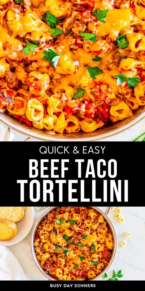 Taco Tortellini, Tortellini Skillet, Recipe With Ground Beef, Beef Taco, Tortellini Recipes, Italian Dinner Recipes, One Skillet Meals, Easy Taco, Dinner With Ground Beef