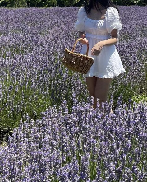 Cabin Aesthetic, Lavender Haze, Spring Inspo, Spring Girl, Lavender Field, Spring Mood, A Breath Of Fresh Air, Cottage Core Aesthetic, Cottagecore Aesthetic