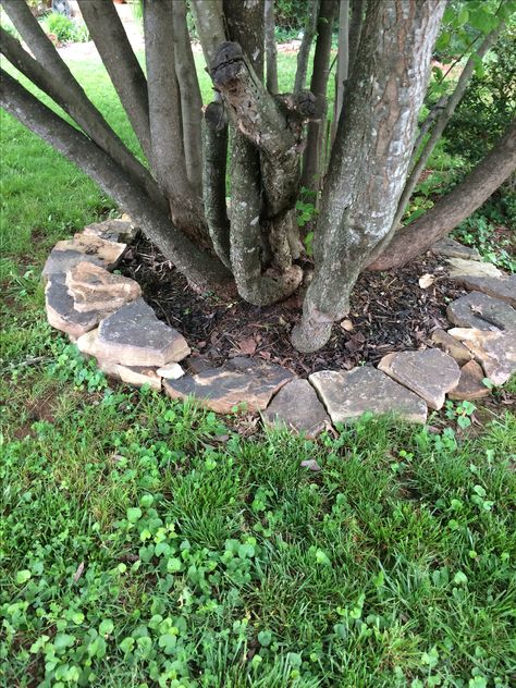 Rock Design Around Tree, Trees With Rocks Around It, Tree With Stones Around It, Rocks Around Tree, Tree With Rocks Around It, Flagstone Tree Ring, Stone Tree Ring Landscape, Flagstone Steps, Rock Border