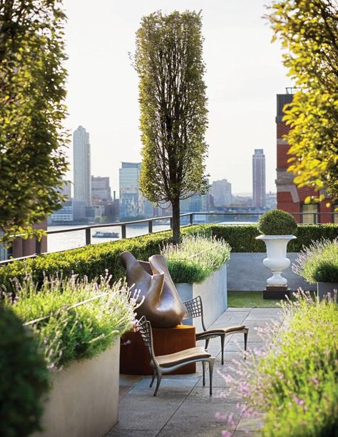 WELL-APPOINTED  Narrowly pruned trees block unwanted views and demarcate the living space, which is appointed with a boxwood-filled antique French urn, planters from Pennoyer Newman, and aluminum versions of a 1954 Dan Johnson chair that flank a sculpture by Fernando Casasempere. Limestone floors extend from the home’s interior and abut a strip of paw-friendly SynLawn. Interior Patio, Open Terrace, Garden Exterior, Rooftop Gardens, Roof Garden Design, Roof Gardens, Terrace Garden Design, Rooftop Terrace Design, Rooftop Design