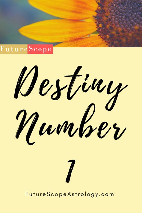 1 Numerology, Most Important Things In Life, Destiny Number, Personal Achievements, Life Path Number, Number Meanings, Important Things In Life, Life Path, Number 1