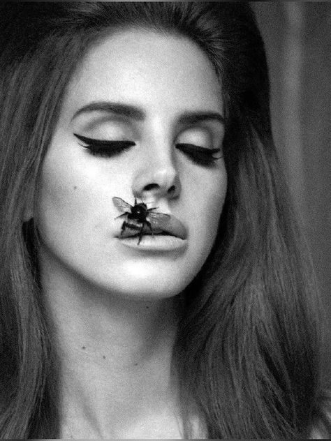 Love Lana Del Rey, Lana Del Rey Art, Lana Del Rey Love, Lana Rey, Elizabeth Grant, Vintage Americana, Lana Del Ray, Light Of My Life, Retro Aesthetic