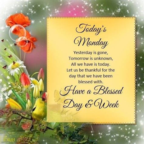 Sunday Morning Prayer, Monday Morning Blessing, Monday Greetings, Monthly Quotes, Monday Blessings, Morning Blessings, Morning Prayers, Have A Blessed Day, Monday Morning