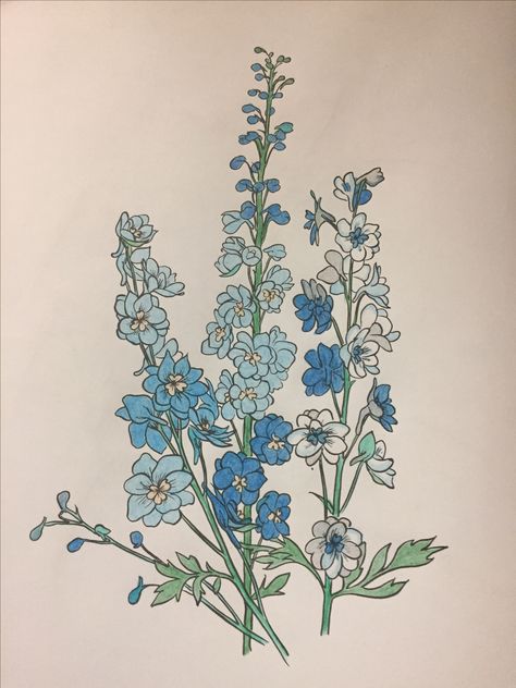 Delphinium Line Art, Delphinium Embroidery, Delphinium Flower Drawing, Delphinium Illustration, Delphinium Flower Tattoo, Delphinium Tattoo, Delphinium Flower, Lil Doodles, Delphinium Flowers