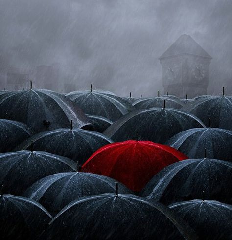 Black umbrellas & one red umbrella in the middle art Foto Gif, Black Umbrella, Umbrella Art, Red Umbrella, Toyama, Ansel Adams, Foto Inspiration, In The Rain, Rainy Days