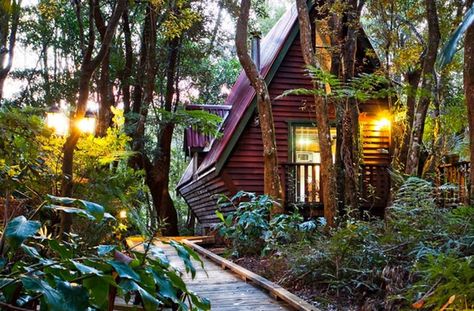 Wooden Shack, Leadlight Windows, Enchanted Cottage, Fall Cottage, Best Places To Vacation, Winter Cabin, The Rainforest, Stone Cottage, Farm Stay