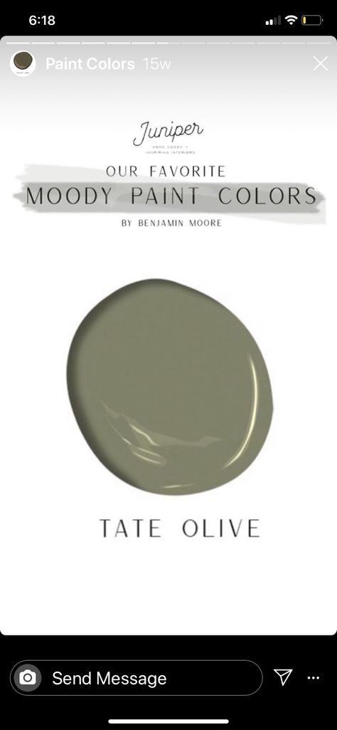 Taiga Benjamin Moore, Benjamin Moore Tate Olive Cabinets, Tate Olive Benjamin Moore, Benjamin Moore Tate Olive, Benjamin Moore Camouflage, Tate Olive, House Color, Cozy Cabin, Benjamin Moore