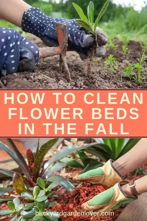 Learn how to clean flower beds in the fall, so that you ca enjoy a gorgeous spring show of fresh flowers. #garden #flowergarden #gardenchores #fallgarden #autumngarden Brick Patterns Patio, Clean Flowers, Container Garden Design, Gardening Hacks, Meteor Garden 2018, Magic Garden, Starting A Garden, Chinese Garden, Vegetable Garden Design