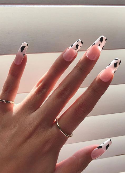 Nails Acrylic Coffin Shape, Cow Print Nails Acrylic Long, Cow Nails Designs, Cow Nails Acrylic, Cow Print Nail Designs, Cow Print Nails, Cute Cow Print, Sheer Nails, Cow Nails