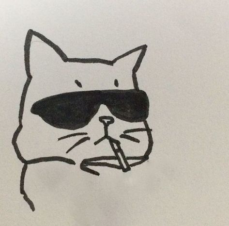 simply drawn cat with sunglasses and a cigarette Animal Pfp Aesthetic, Animal Pfp Funny, Animal Wallpaper Aesthetic, Animal Character Design, Character Pfp, Animal Pfp, Animal Couple, Animal Poses, Pfp Funny