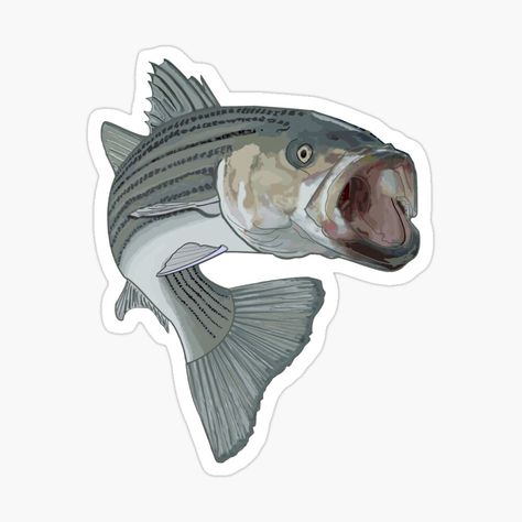 Get my art printed on awesome products. Support me at Redbubble #RBandME: https://www.redbubble.com/i/sticker/striped-bass-fishing-by-hookink/27206950.JCQM3?asc=u Bass Logo, Striped Bass Fishing, Bass Fishing Shirts, Fly Fishing Shirts, Fishing Design, Fishing Decals, Fishing Shop, Bowfishing, Striped Bass