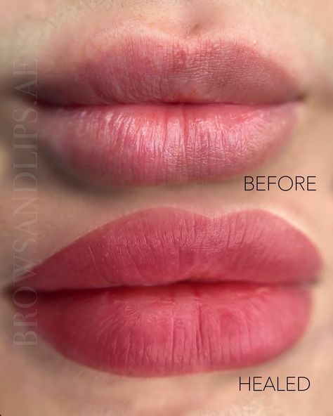 Lip Colors Tattoo, Lips Blush Tattoo, Healed Lip Blush, Lip Tattoo Cosmetic, Lip Blushing Tattoo Colors, Lip Blushing Tattoo Before And After, Lip Tattoo Color, Lip Blushing Tattoo, Lip Tattoo Lipstick