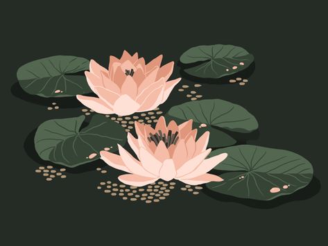 Water Lily by Maria Shanina on Dribbble Japanese Water Lily Art, Water Lilly Illustration, Water Lilies Illustration, Lilypad Illustration, Lily Pads Tattoo, Waterlily Illustration, Water Lilies Drawing, Lily Pad Illustration, Lilypad Drawing