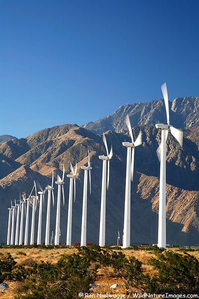 8- Best roadside attraction Windmill Pictures, Palm Springs, California #EsuranceDreamRoadTrip Palm Springs Windmills, Windmill Pictures, Infinity Pools, Palm Spring, Wind Turbines, California Desert, Wind Farm, Palm Springs California, Coachella Valley