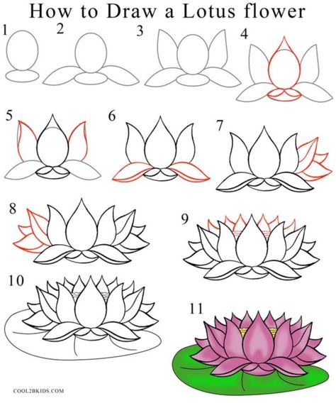 As you can see, the drawing of a flower is a matter of studying the details, deciding on the perspective and reproducing on paper.how to draw a flower Draw Lotus Flower, Draw A Lotus Flower, Trin For Trin Tegning, Lotus Flower Drawing, Lotus Drawing, Flower Step By Step, Flower Drawing Tutorials, Leaf Drawing, Flower Sketches