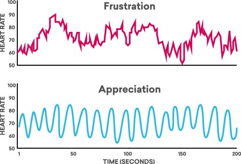 Heartmath Coherence, Electrical Impulses Of The Heart, Heart Coherence, Heart Electromagnetic Field, Overactive Heart Chakra, Relaxation Response, Heart Rhythms, Building Self Confidence, Autonomic Nervous System