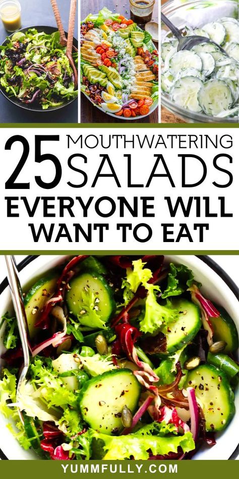 Step into the healthy world of leafy greens, colorful produce, and crisp freshness with these 25 salad recipes that promise to redefine your idea of salads. From refreshing summer mixes Green Salad With Chicken Recipes, Salads To Make At Home, Salads That Arent Boring, Green Tossed Salad Recipes, Best Salads For Lunch, Whole Food Salad Recipes, Best Make Ahead Salads, Simple Lunch Salads, Popular Salad Recipes