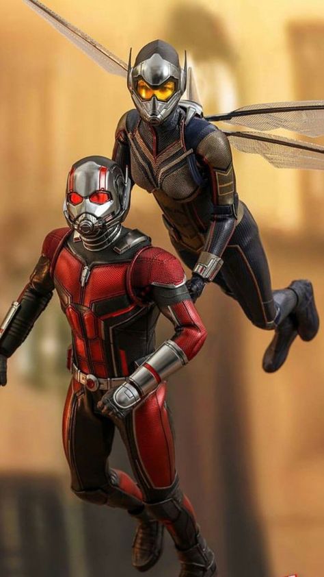 Dino Thunder, Wallpaper Marvel, Ant Man And The Wasp, Antman And The Wasp, The Wasp, Evangeline Lilly, Blue Beetle, Mens Halloween Costumes, Wasp