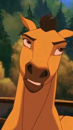 Spirit The Stallion Of The Cimarron, Spirit Horse Movie, Spirit And Rain, Spirit The Horse, Horse Movies, Spirit Horse, Gif Disney, Horse Eye, Disney Princess Quotes