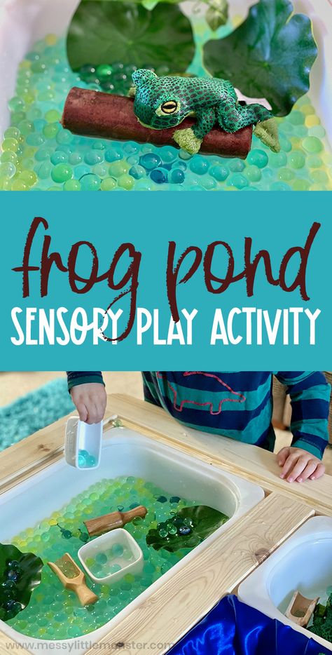 Frog pond sensory play for toddlers and preschoolers. Spring themed water bead sensory bin. Frog Pond Sensory Bin, Sensory Play Themes, Springtime Sensory Bin, Pond Sensory Play, Pond Sensory, Garden Sensory Bin Preschool, Garden Sensory Play, Spring Messy Play Ideas, Spring Time Sensory Bin