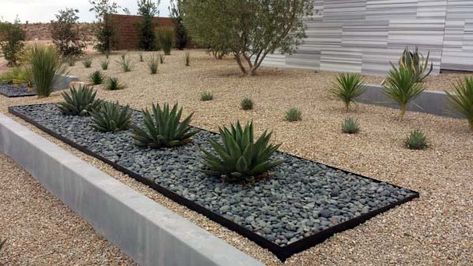 Top 60 Best Gravel Landscaping Ideas - Pebble Designs Desert Landscape Front Yard, Modern Landscape Design Front Yard, Desert Landscaping Backyard, Desert Backyard, Modern Garden Landscaping, Landscape Curbing, Courtyard Landscaping, Gravel Landscaping, Cozy Garden