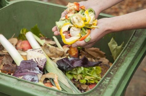 Making A Compost Bin, Biodegradable Waste, Compost Bin Diy, Diy Compost, How To Make Compost, Organic Compost, Healthy Garden, Composting, Organic Fertilizer