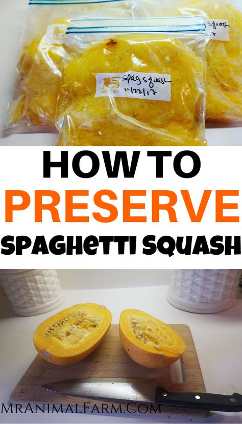 Can you freeze spaghetti squash? You sure can! Freezing is a great method of preservation. Here you will learn how to freeze spaghetti squash.  #selfsufficient #gardeningtips #foodpreservation Freeze Spaghetti Squash, Freeze Spaghetti, Freezing Spaghetti Squash, Food For A Year, Spaghetti Squash Recipes Chicken, Spaghetti Squash Recipes Vegan, Healthy Squash Recipes, Spaghetti Squash Recipes Healthy, Spaghetti Squash Recipes Easy