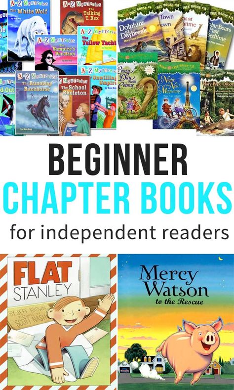 Beginner Chapter Books for Independent Readers - Some the Wiser Beginner Chapter Books, First Chapter Books, Baby Nerd, Books Kindergarten, Manners Books, Easy Chapter Books, Family Read Alouds, Elementary Books, I Can Read Books