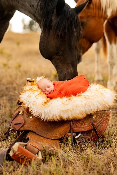 Newborn Pictures With Horses, Cowgirl Newborn Pictures, Newborn Western Photography, Western Newborn Pictures, Western Baby Pictures, Newborn Cowboy, Cowgirl Photoshoot, Pictures With Horses, Western Photoshoot