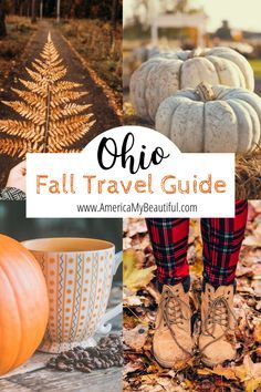 Fall in Ohio: Everything you need to know when visiting Ohio in the fall. #ohio Fall Festivals In Ohio, Circleville Pumpkin Show, Things To Do In Ohio, Ohio Fall, Hocking Hills State Park, Ohio Travel, Fall Getaways, Fall Travel, Apple Picking